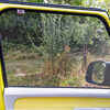 BRANDRUP® - FLYOUT für die Fenster in den Fahrerhaustüren VW ID.Buzz - Image 2